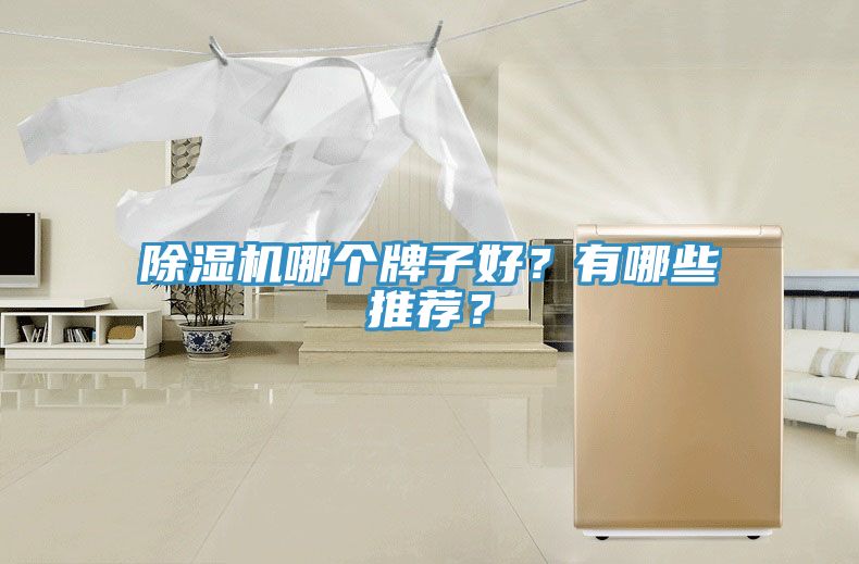 除濕機(jī)哪個(gè)牌子好？有哪些推薦？