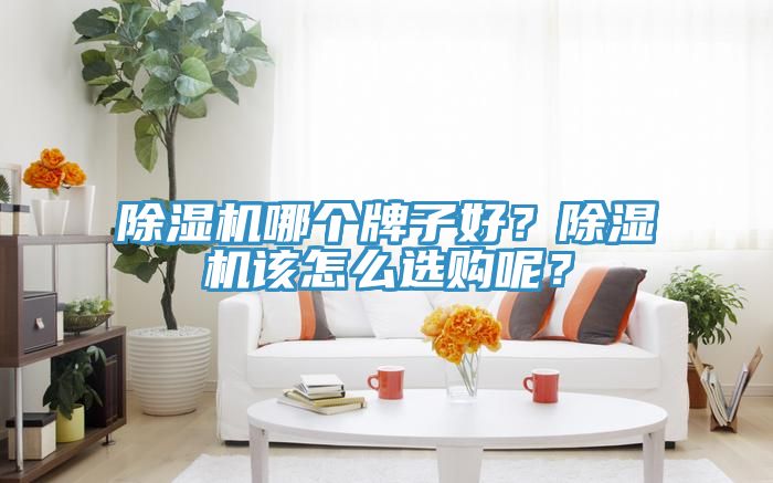 除濕機(jī)哪個(gè)牌子好？除濕機(jī)該怎么選購呢？
