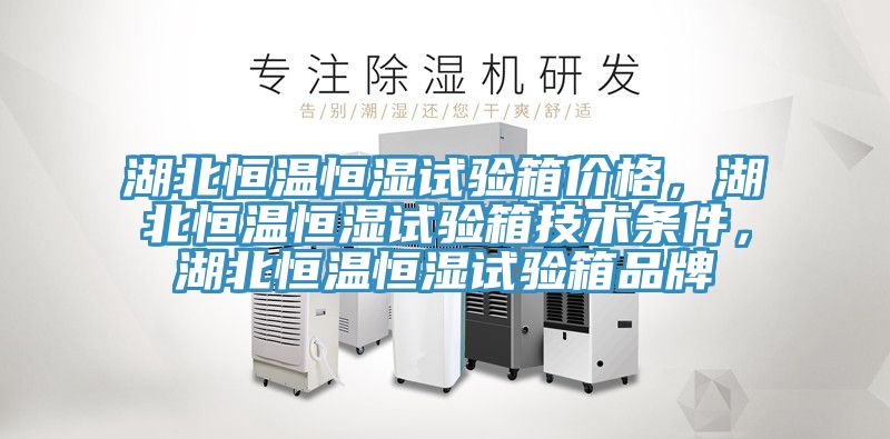 湖北恒溫恒濕試驗(yàn)箱價(jià)格，湖北恒溫恒濕試驗(yàn)箱技術(shù)條件，湖北恒溫恒濕試驗(yàn)箱品牌