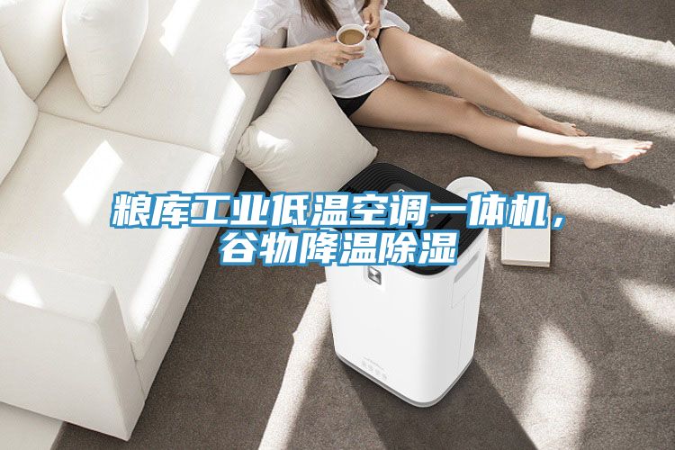 糧庫(kù)工業(yè)低溫空調(diào)一體機(jī)，谷物降溫除濕