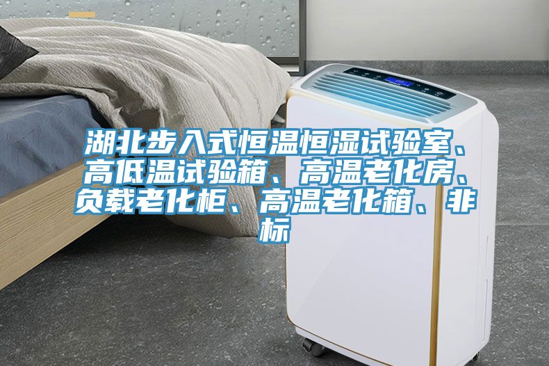 湖北步入式恒溫恒濕試驗(yàn)室、高低溫試驗(yàn)箱、高溫老化房、負(fù)載老化柜、高溫老化箱、非標(biāo)