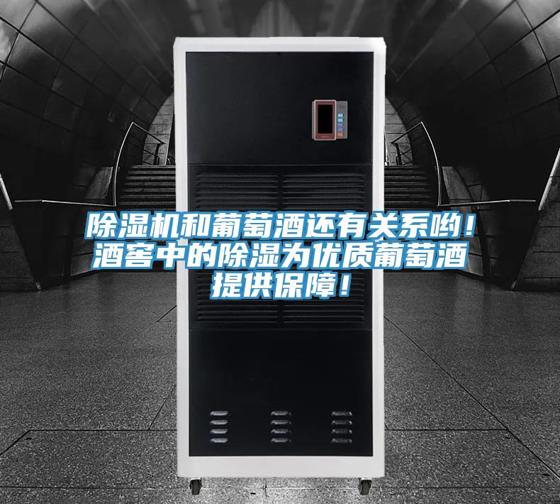 除濕機(jī)和葡萄酒還有關(guān)系喲！酒窖中的除濕為優(yōu)質(zhì)葡萄酒提供保障！