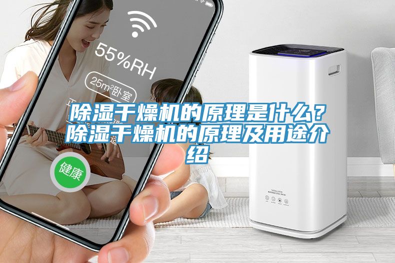 除濕干燥機(jī)的原理是什么？除濕干燥機(jī)的原理及用途介紹