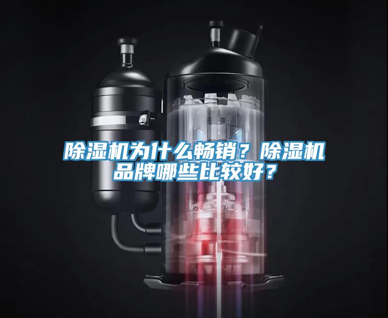 除濕機為什么暢銷？除濕機品牌哪些比較好？