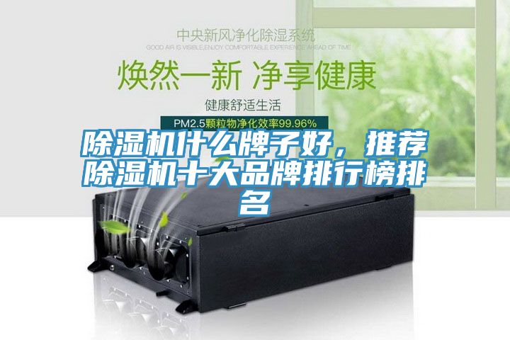 除濕機(jī)什么牌子好，推薦除濕機(jī)十大品牌排行榜排名