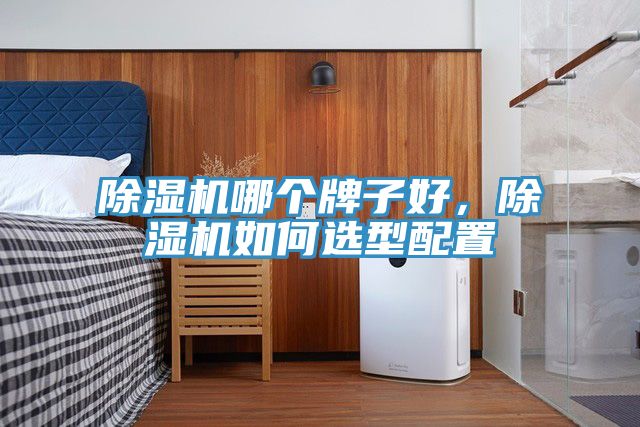 除濕機(jī)哪個(gè)牌子好，除濕機(jī)如何選型配置