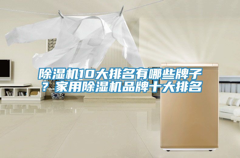 除濕機10大排名有哪些牌子？家用除濕機品牌十大排名