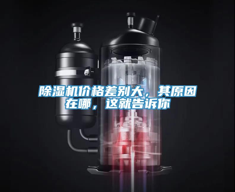 除濕機(jī)價(jià)格差別大，其原因在哪，這就告訴你