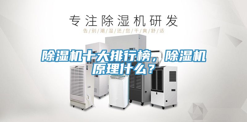 除濕機十大排行榜，除濕機原理什么？