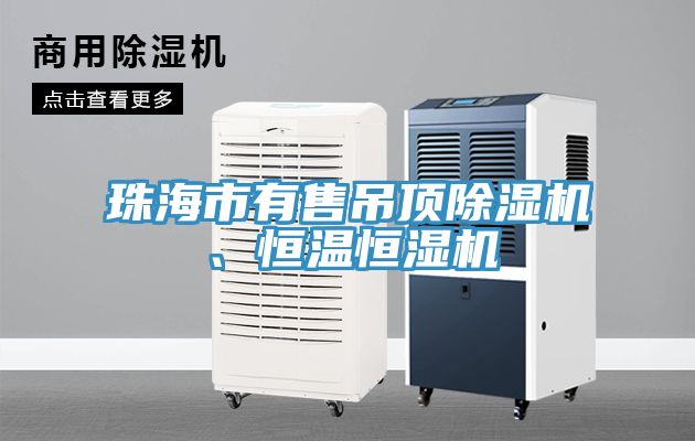 珠海市有售吊頂除濕機、恒溫恒濕機