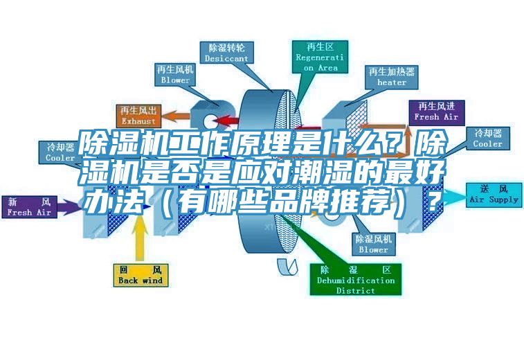 除濕機(jī)工作原理是什么？除濕機(jī)是否是應(yīng)對潮濕的最好辦法（有哪些品牌推薦）？
