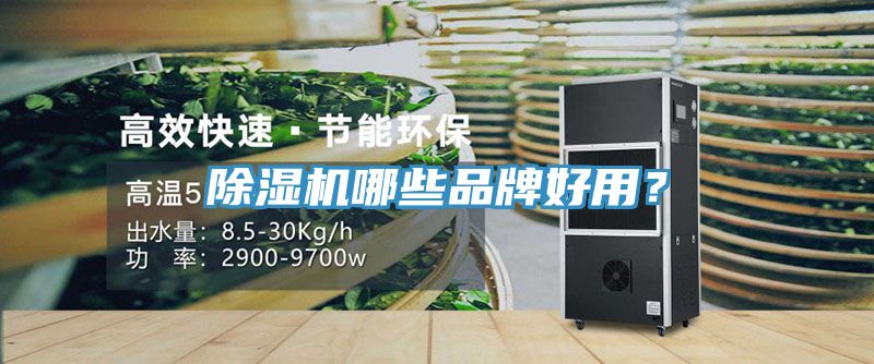 除濕機哪些品牌好用？