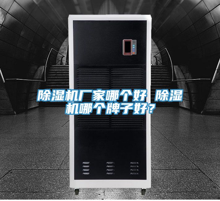 除濕機(jī)廠家哪個(gè)好 除濕機(jī)哪個(gè)牌子好？