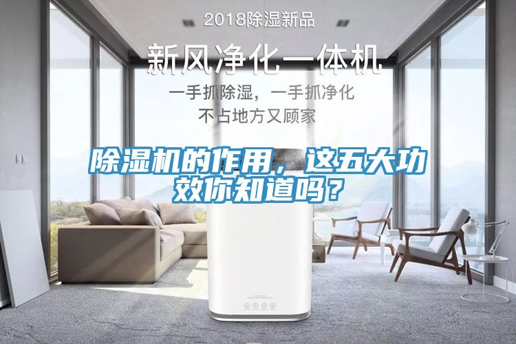 除濕機的作用，這五大功效你知道嗎？