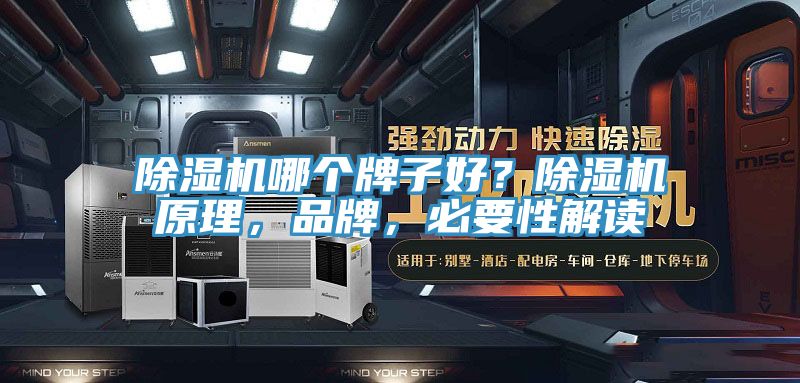 除濕機哪個牌子好？除濕機原理，品牌，必要性解讀