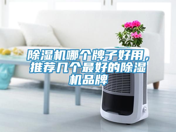 除濕機哪個牌子好用，推薦幾個最好的除濕機品牌