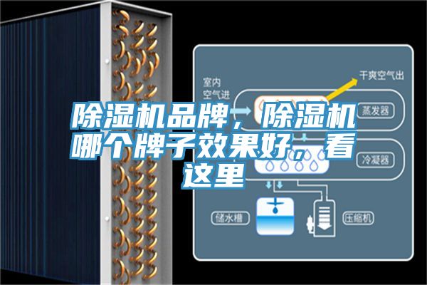 除濕機品牌，除濕機哪個牌子效果好，看這里