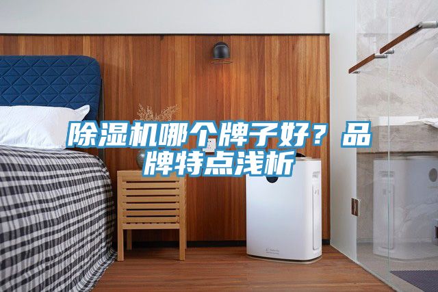 除濕機哪個牌子好？品牌特點淺析