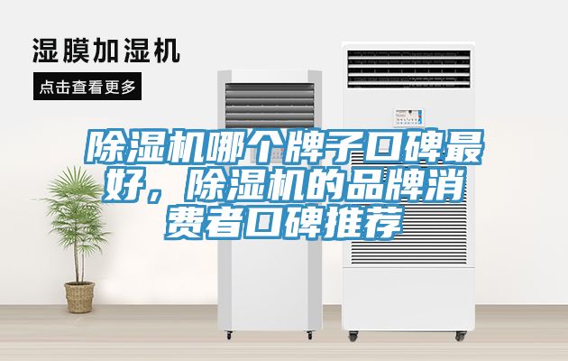 除濕機哪個牌子口碑最好，除濕機的品牌消費者口碑推薦