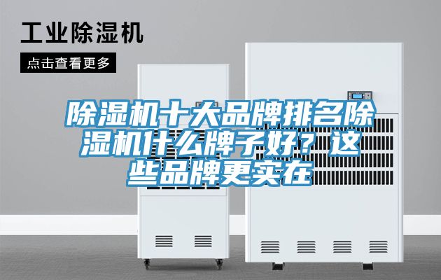 除濕機(jī)十大品牌排名除濕機(jī)什么牌子好？這些品牌更實(shí)在