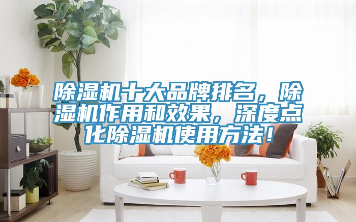 除濕機(jī)十大品牌排名，除濕機(jī)作用和效果，深度點(diǎn)化除濕機(jī)使用方法！