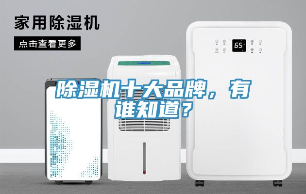 除濕機(jī)十大品牌，有誰知道？