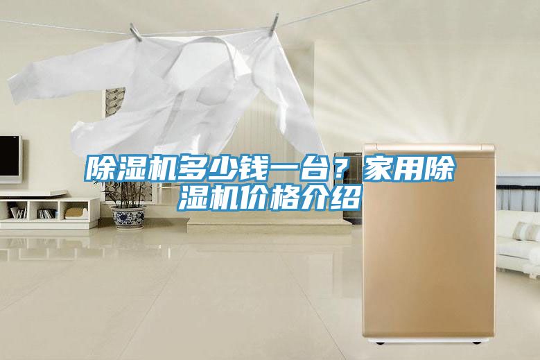 除濕機(jī)多少錢一臺(tái)？家用除濕機(jī)價(jià)格介紹
