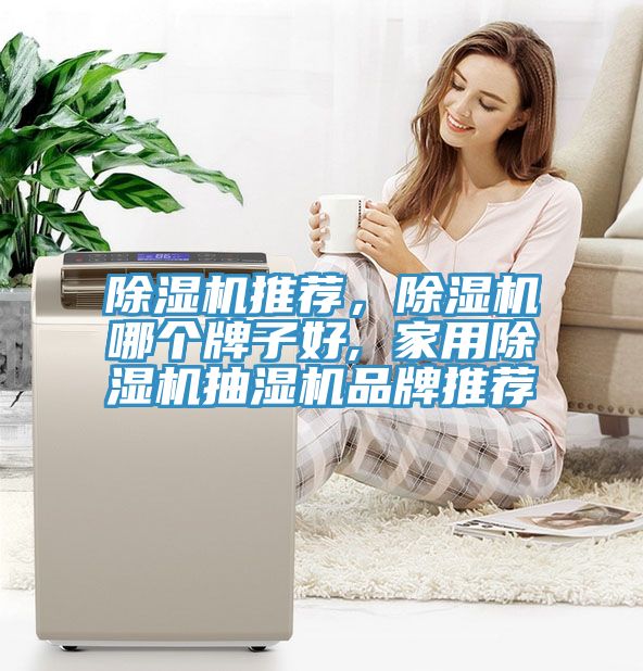 除濕機(jī)推薦，除濕機(jī)哪個(gè)牌子好, 家用除濕機(jī)抽濕機(jī)品牌推薦