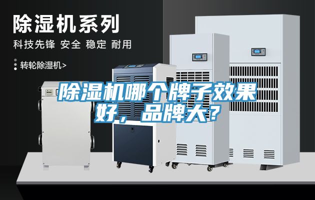 除濕機哪個牌子效果好，品牌大？