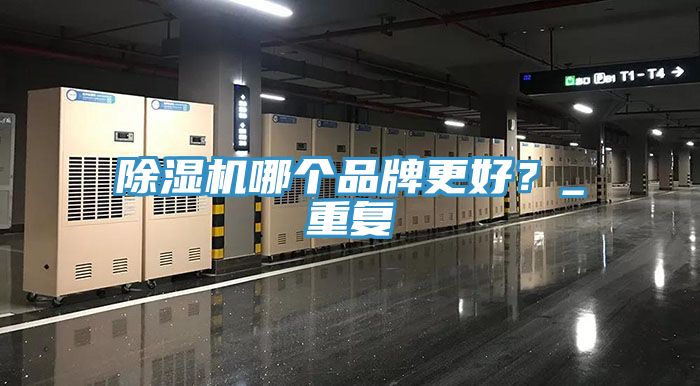 除濕機哪個品牌更好？_重復