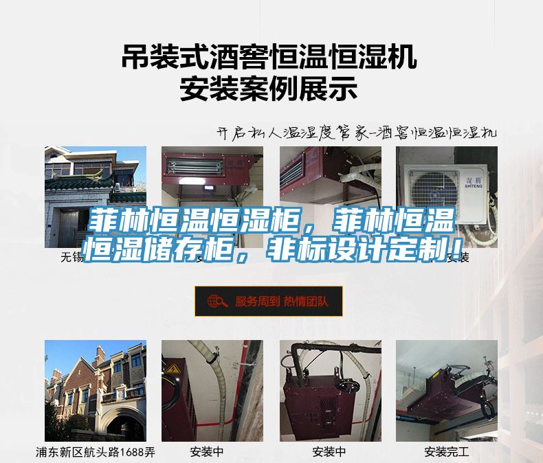 菲林恒溫恒濕柜，菲林恒溫恒濕儲存柜，非標設(shè)計定制！