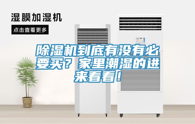 除濕機(jī)到底有沒有必要買？家里潮濕的進(jìn)來看看！