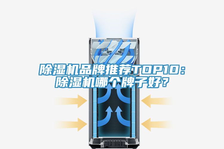 除濕機(jī)品牌推薦TOP10：除濕機(jī)哪個牌子好？