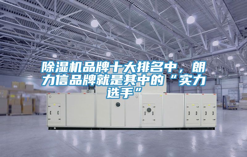 除濕機(jī)品牌十大排名中，朗力信品牌就是其中的“實(shí)力選手”