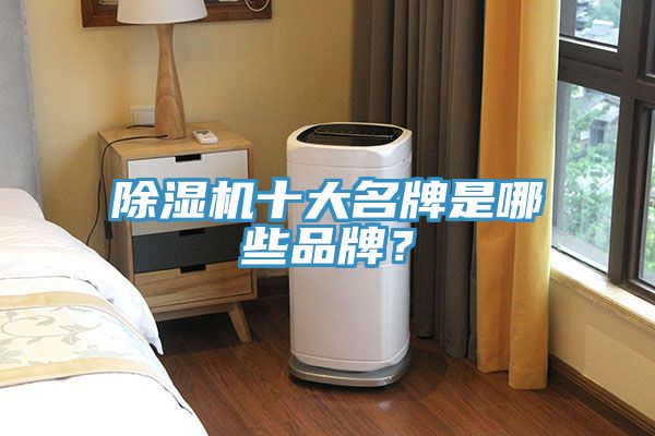 除濕機(jī)十大名牌是哪些品牌？
