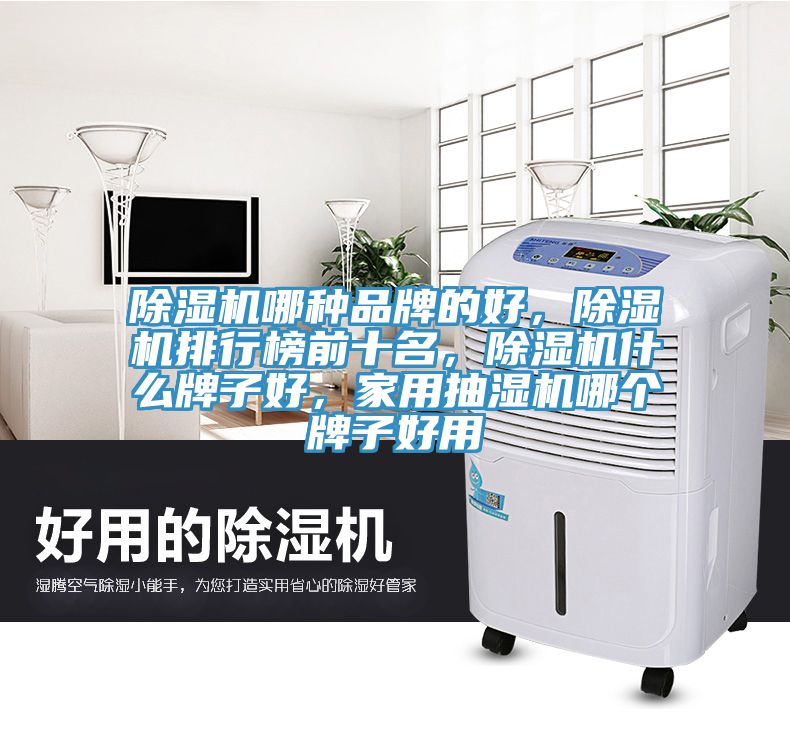 除濕機哪種品牌的好，除濕機排行榜前十名，除濕機什么牌子好，家用抽濕機哪個牌子好用