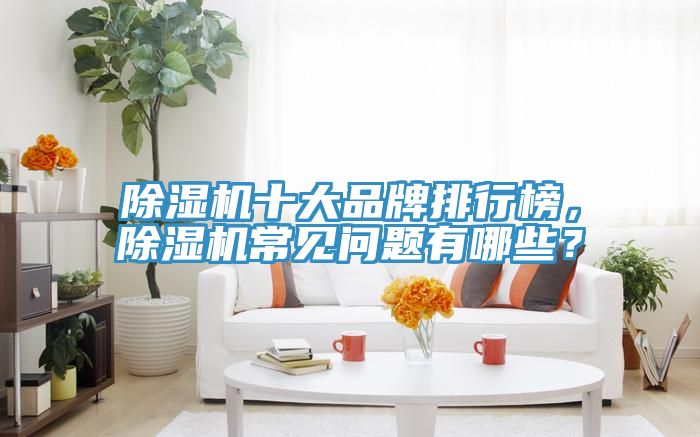 除濕機(jī)十大品牌排行榜，除濕機(jī)常見問題有哪些？