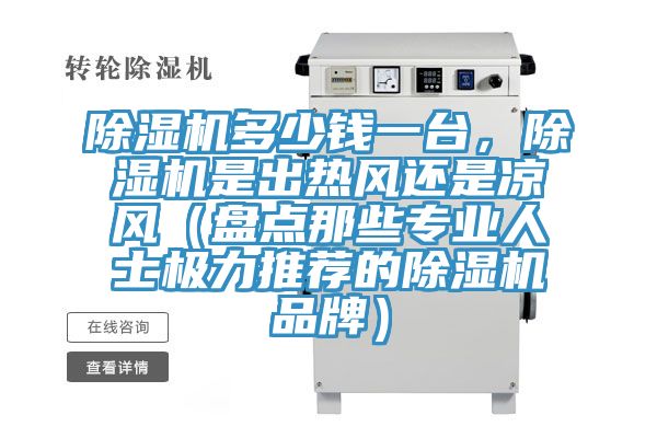 除濕機(jī)多少錢一臺(tái)，除濕機(jī)是出熱風(fēng)還是涼風(fēng)（盤點(diǎn)那些專業(yè)人士極力推薦的除濕機(jī)品牌）