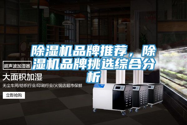 除濕機品牌推薦，除濕機品牌挑選綜合分析