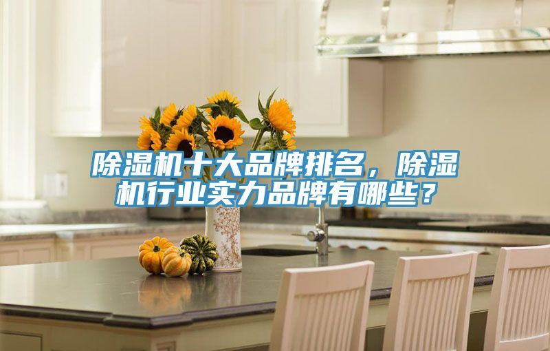 除濕機(jī)十大品牌排名，除濕機(jī)行業(yè)實(shí)力品牌有哪些？