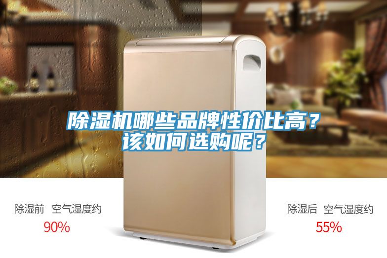 除濕機哪些品牌性價比高？該如何選購呢？