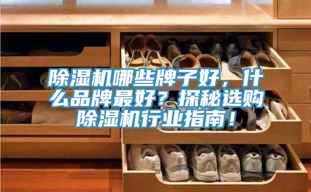 除濕機哪些牌子好，什么品牌最好？探秘選購除濕機行業(yè)指南！
