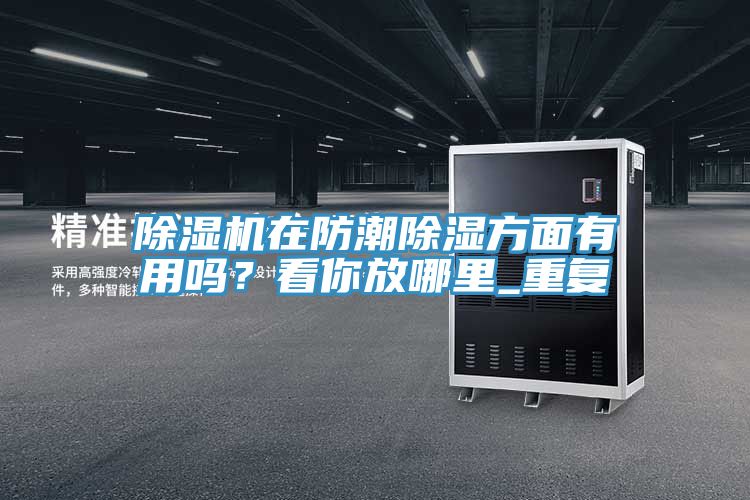 除濕機(jī)在防潮除濕方面有用嗎？看你放哪里_重復(fù)