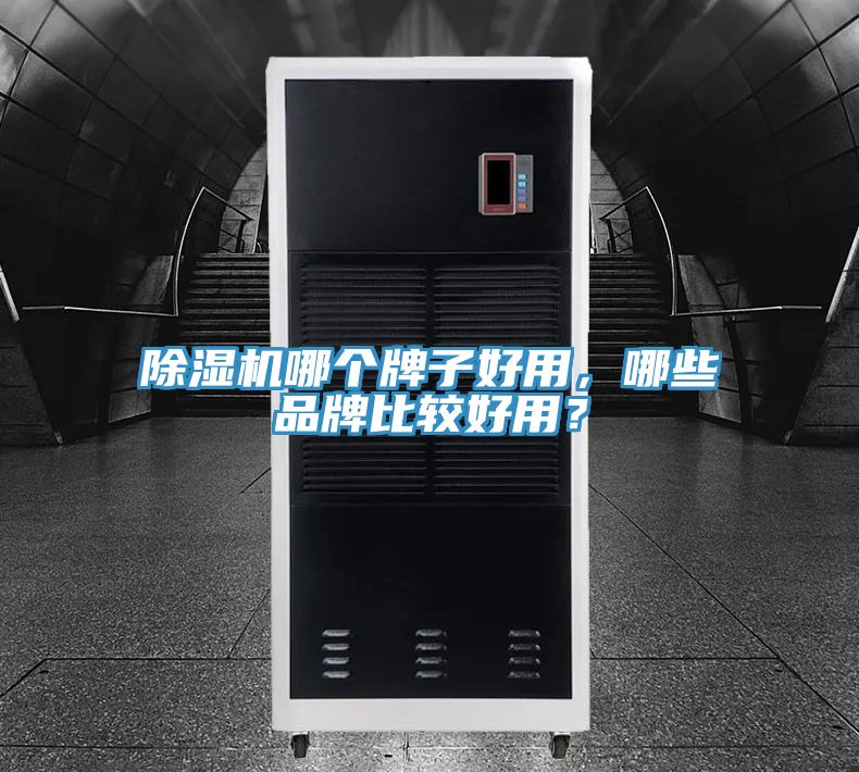 除濕機哪個牌子好用，哪些品牌比較好用？