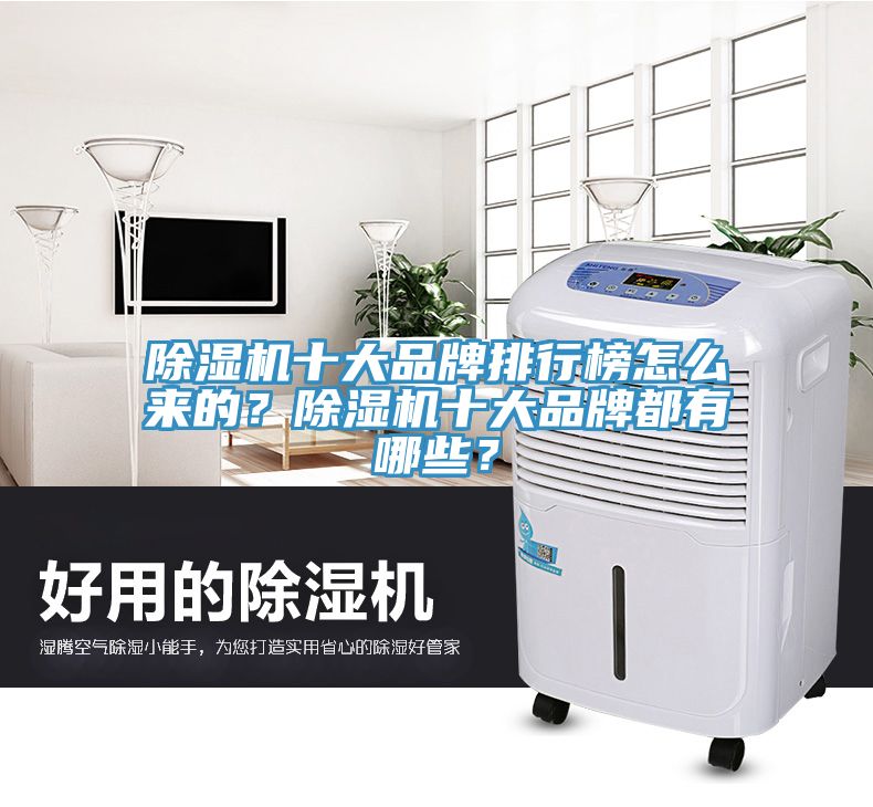 除濕機(jī)十大品牌排行榜怎么來的？除濕機(jī)十大品牌都有哪些？