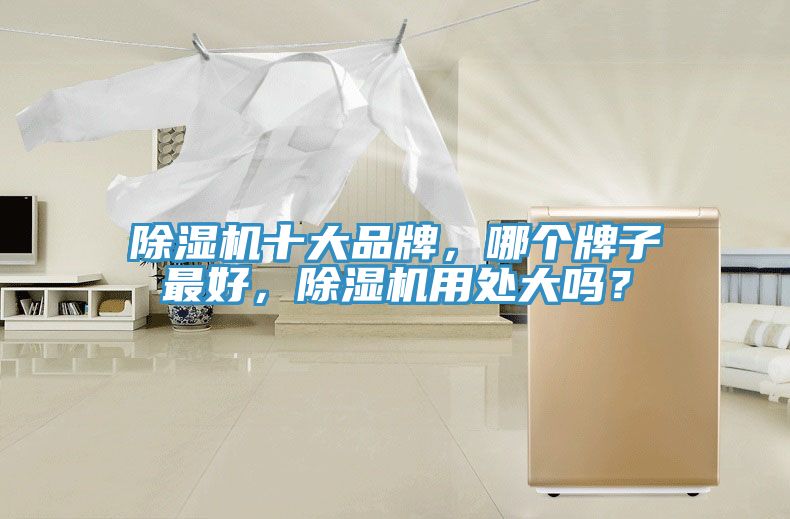 除濕機(jī)十大品牌，哪個牌子最好，除濕機(jī)用處大嗎？