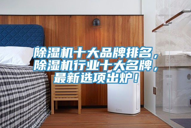 除濕機(jī)十大品牌排名，除濕機(jī)行業(yè)十大名牌，最新選項(xiàng)出爐！