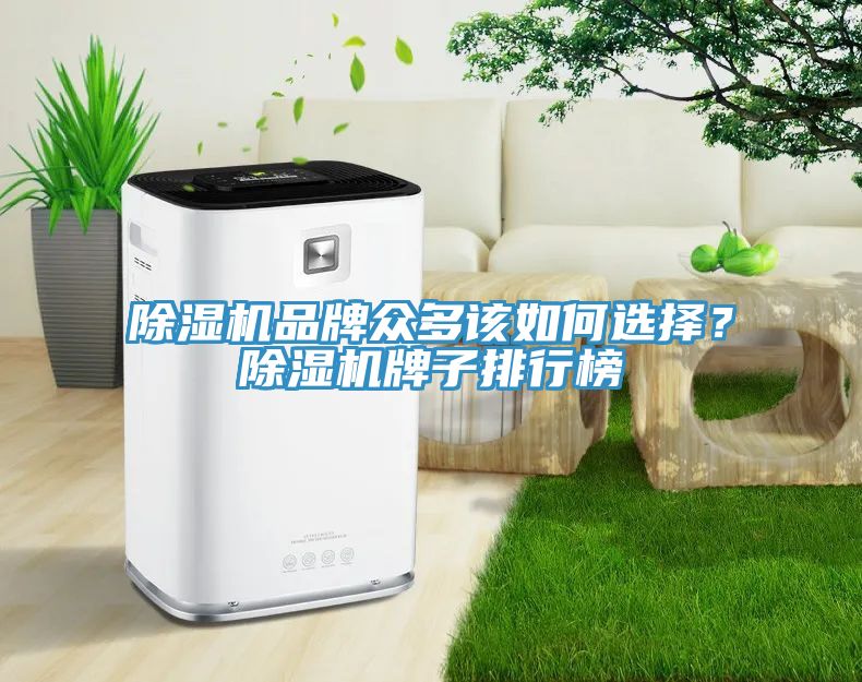 除濕機品牌眾多該如何選擇？除濕機牌子排行榜