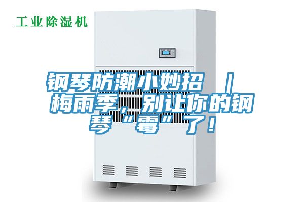 鋼琴防潮小妙招 ｜ 梅雨季，別讓你的鋼琴“霉”了！