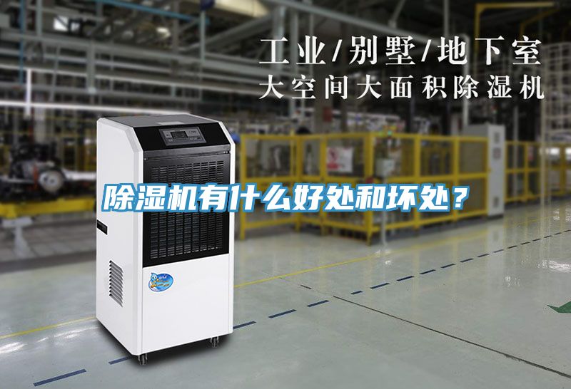 除濕機(jī)有什么好處和壞處？